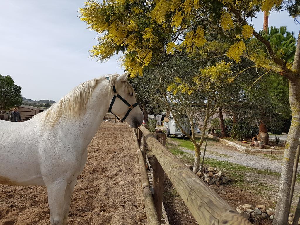Finca Caballo Blanco Hotel Montuiri  Eksteriør billede